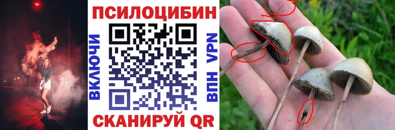 Купить где  Козьмодемьянск  Псилоцибиновые грибы мицелий 